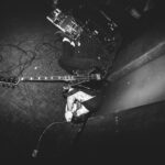 HOLY FAWN by Matt Cardinal (bird_sounds)