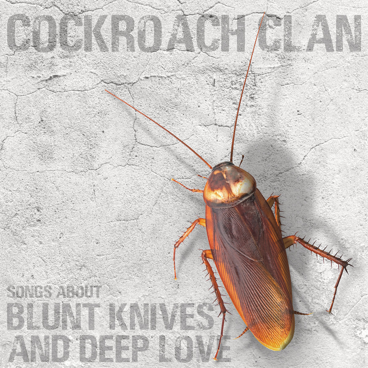 COCKROACH CLAN cover