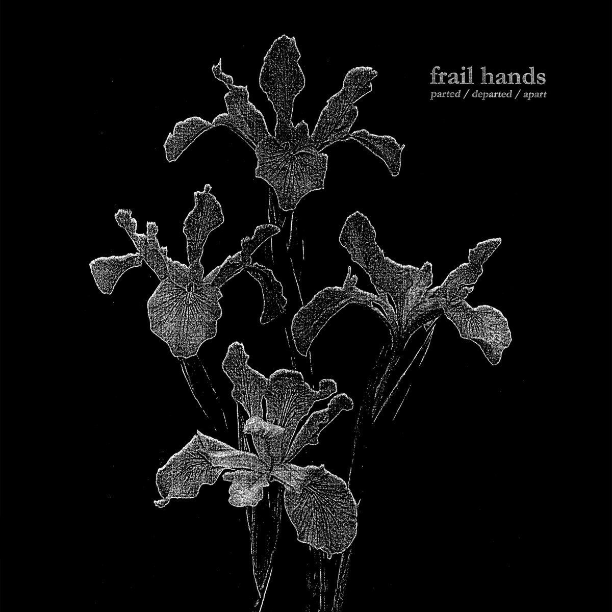 FRAIL HANDS cover