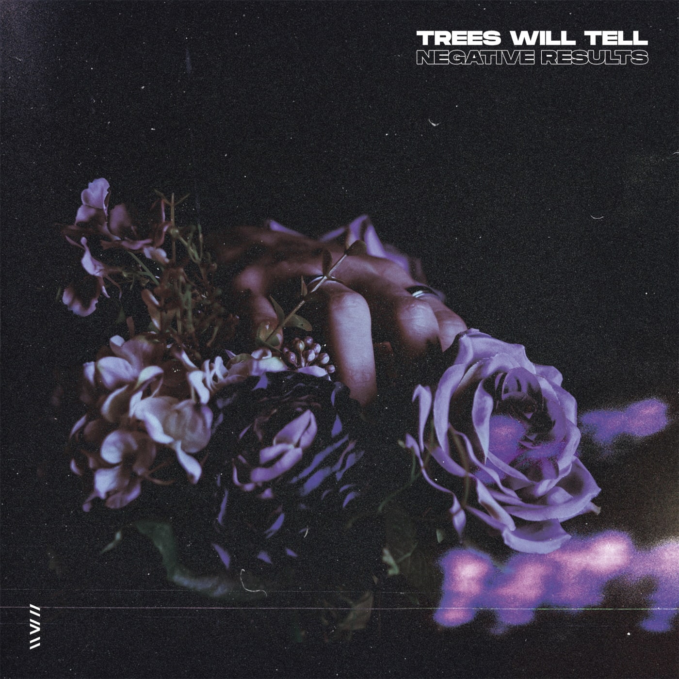 TREES WILL TELL cover