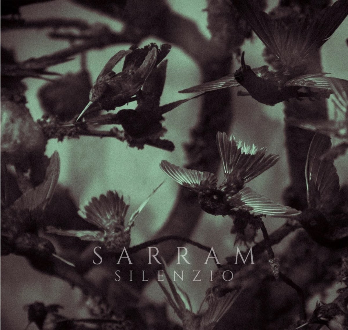 Sarram album