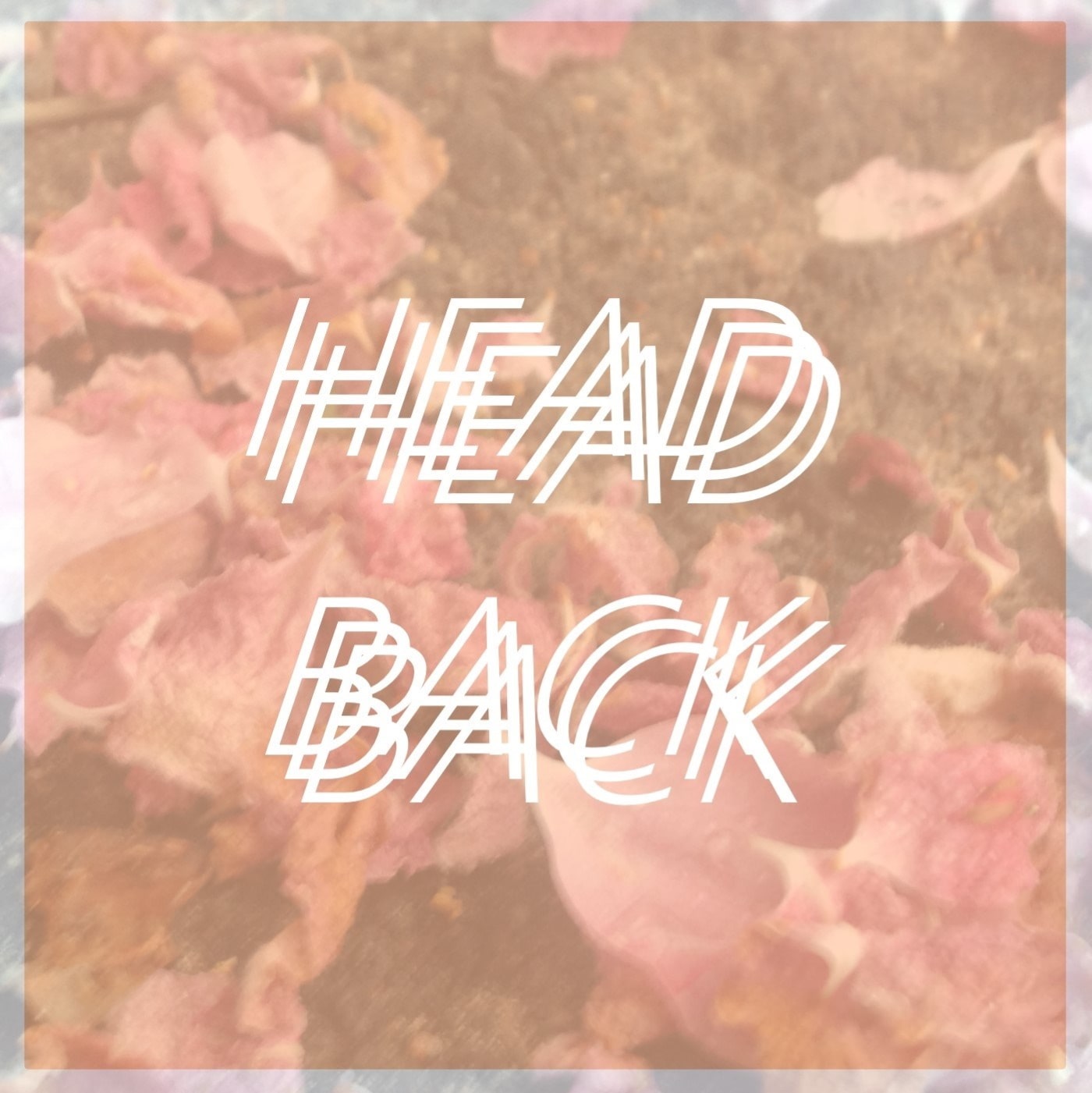 HEAD BACK