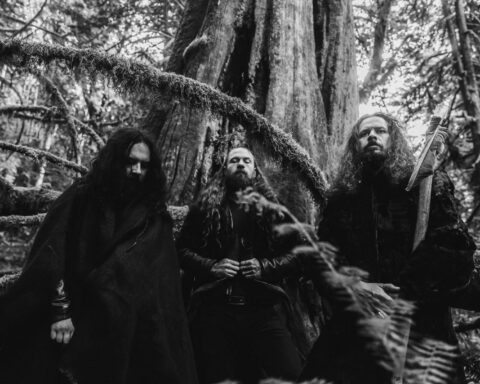 Wolves in the throne room