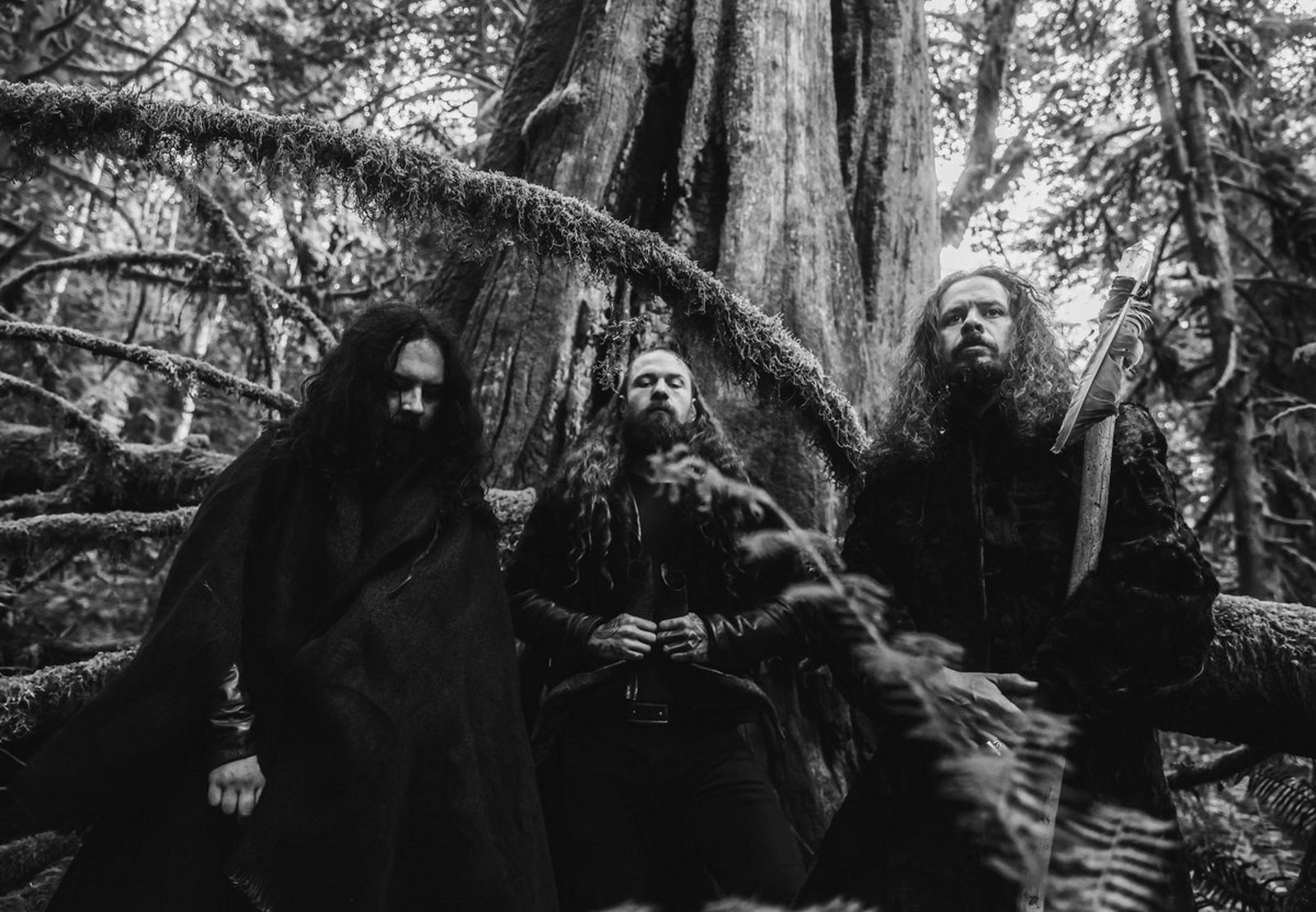 Wolves in the throne room