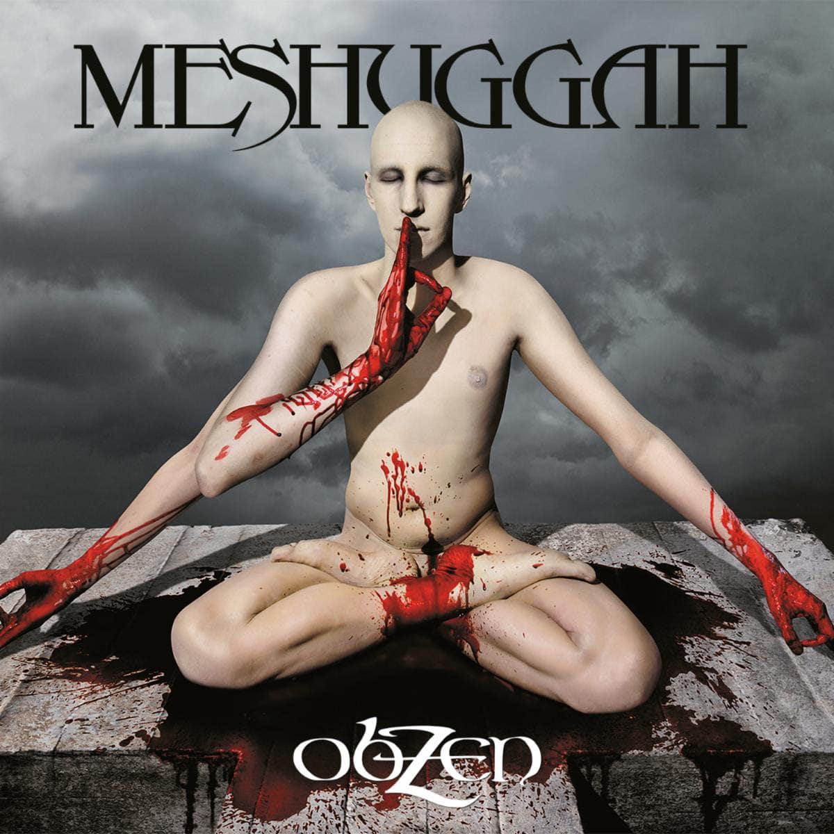 Meshuggah Obzen