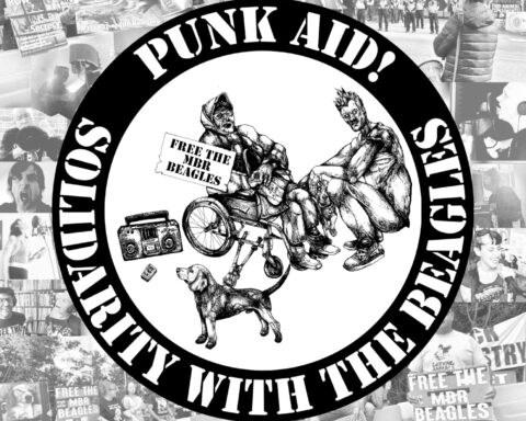 Punk Aid Solidarity with the Beagles cover