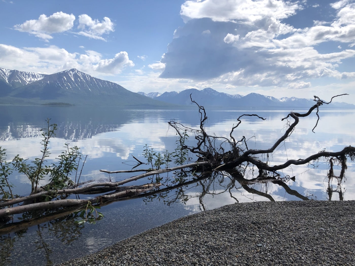 Uno Lady - Alaska - Photos by Christa Ebert. Lake Clark, Alaska 