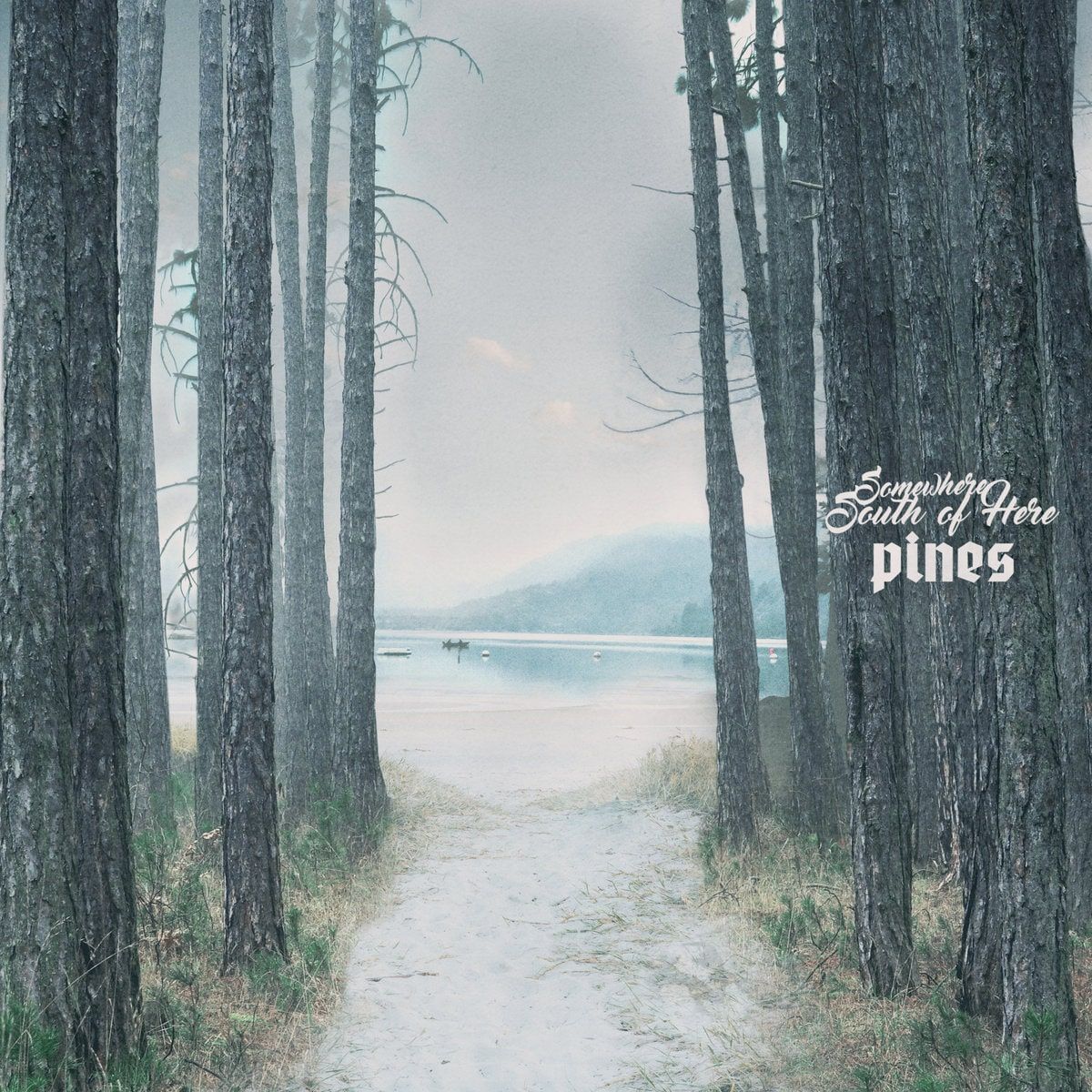 Somewhere South of Here - Pines