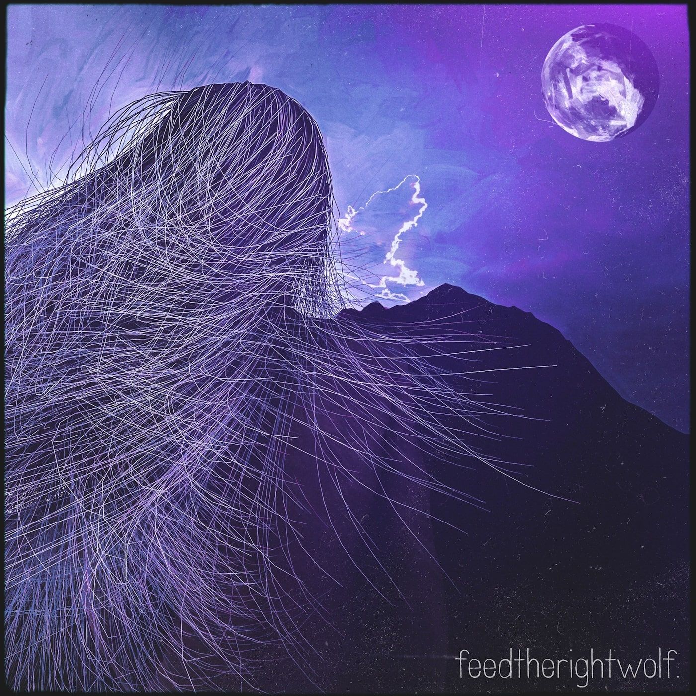 feedtherightwolf