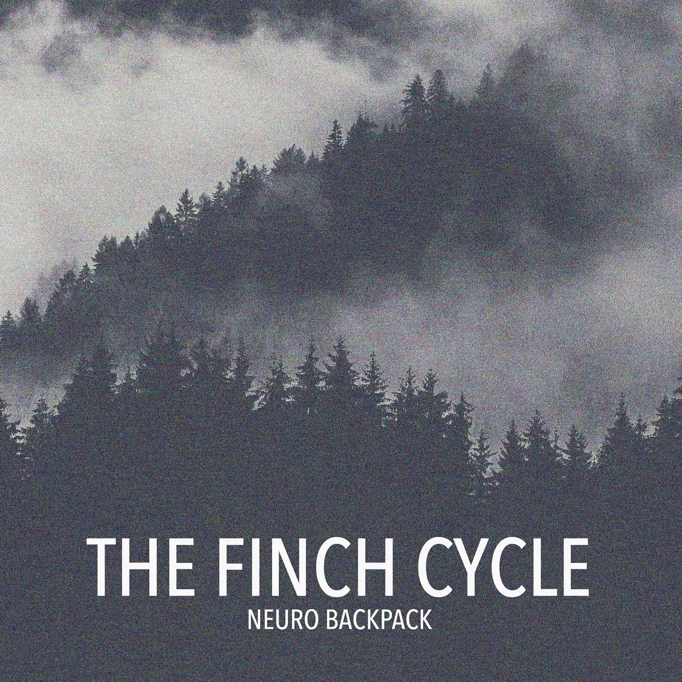 The Finch Cycle