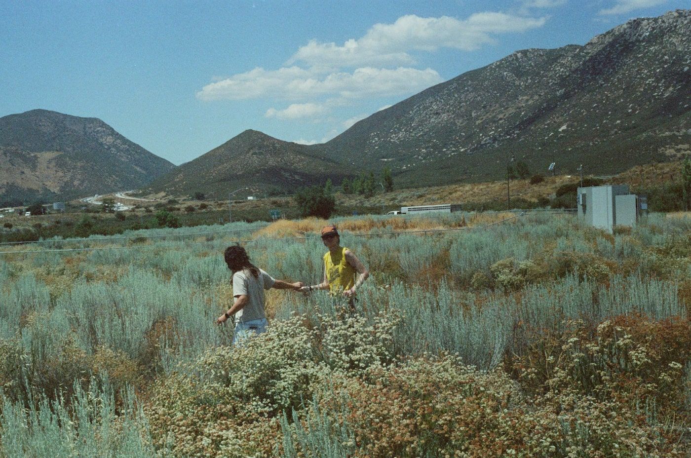 Rest Stop on the way back from Mexicali, by Ale Campos (guitar, vocals)