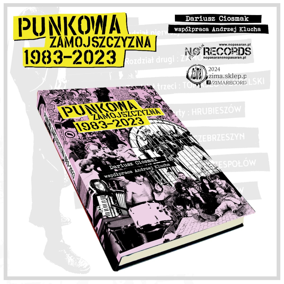 punkowa-zamojszczyzna