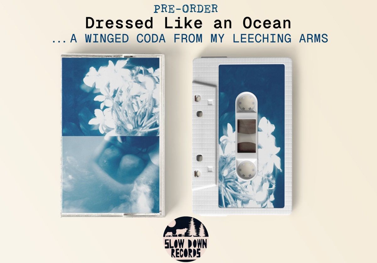 Dressed Like an Ocean