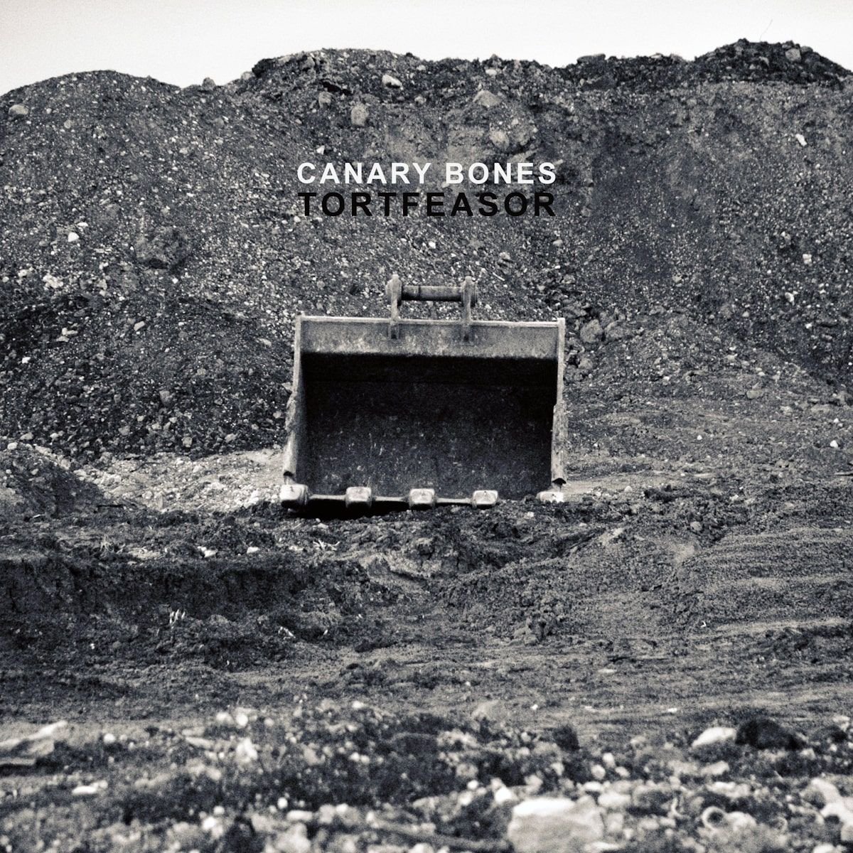 Canary Bones