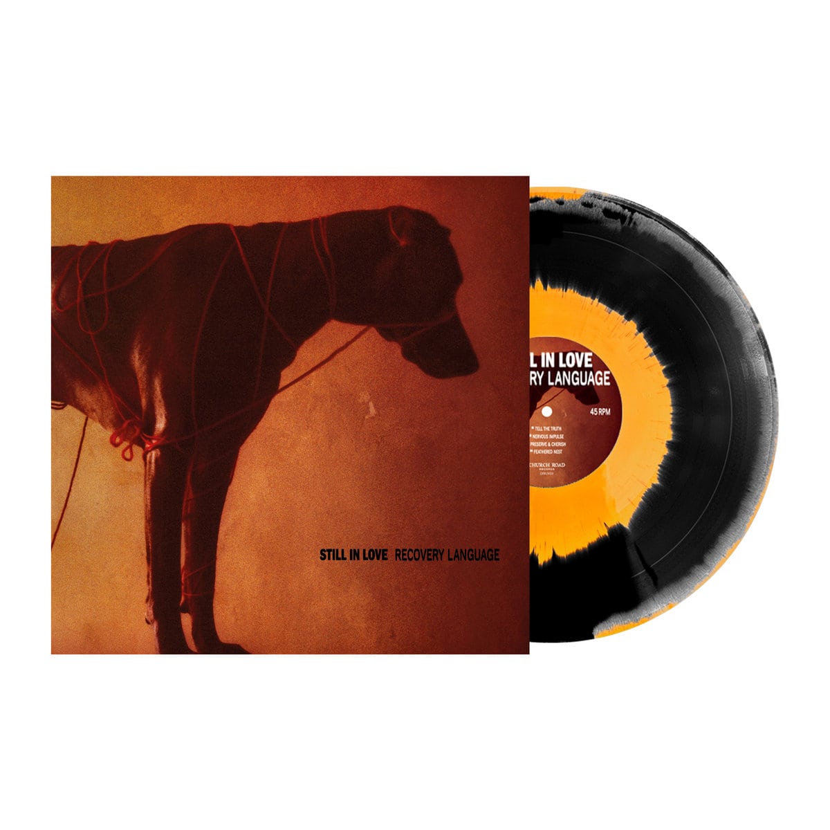 STILL IN LOVE (members of Dead Swans, Throats, Brutality Will Prevail, Last Witness and Bring Me The Horizon) share “Recovery Language” with a top 5 list of influences 1 0040879660 10 min