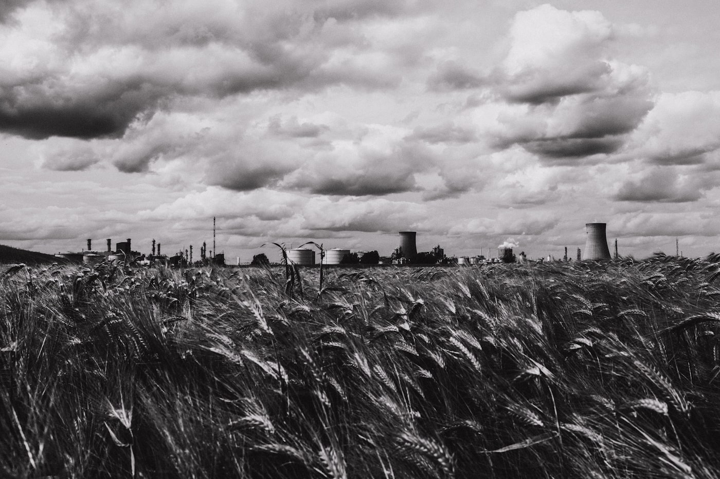 WILDERNESSES by Stuart Baxter 