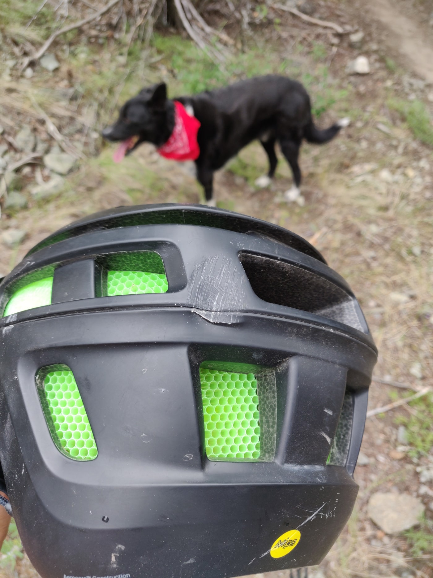 I was fortunate to hit the back of my head rather than the top - the force from a blow in line with your neck and spinecan be fatal. Not pictured: the unreasonable amount of blood that came out of my body.