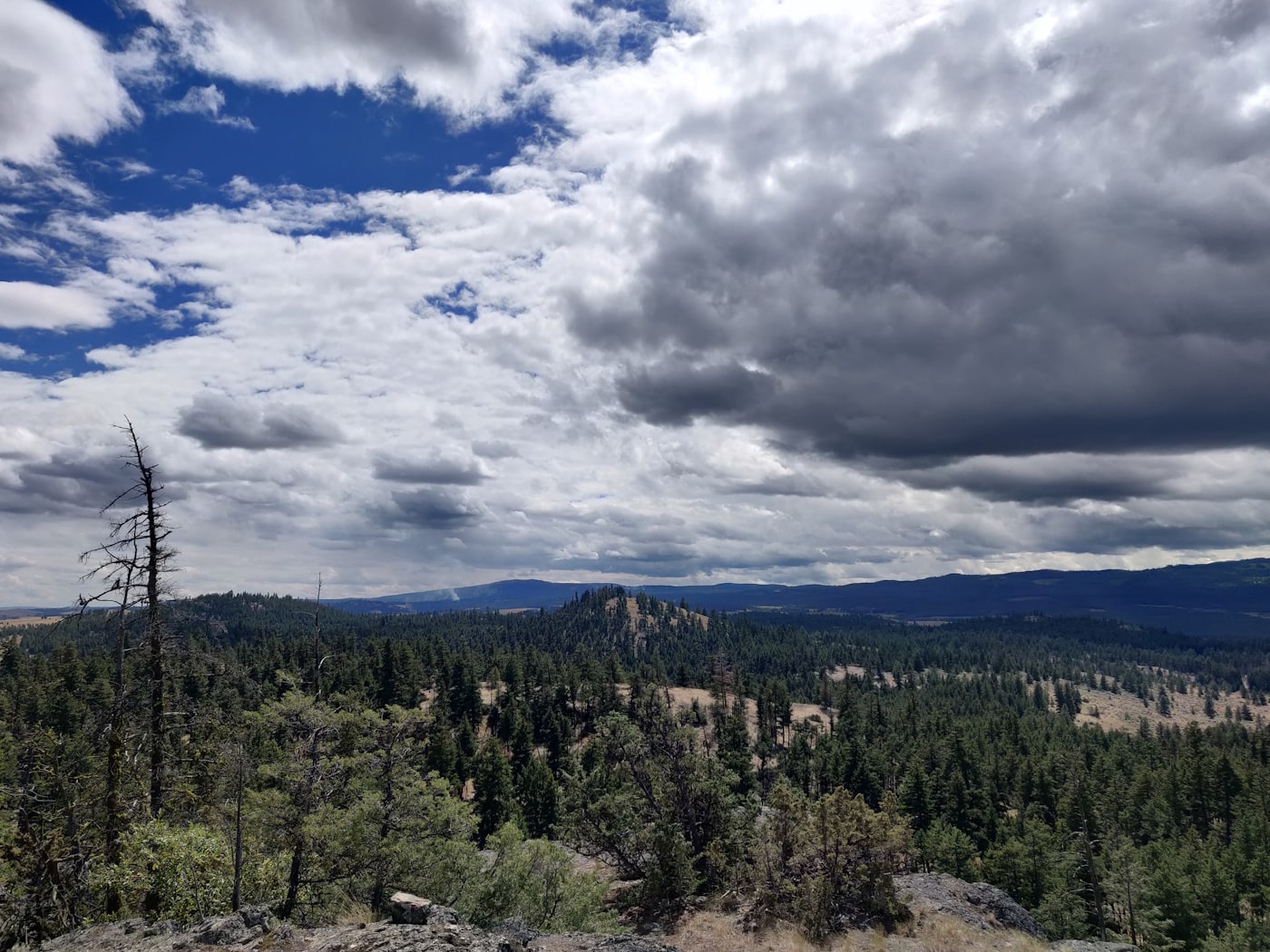 A fire burns ~3km in the distance. It consumed a large swathe to the southeast (left) of where I stood taking this photo.