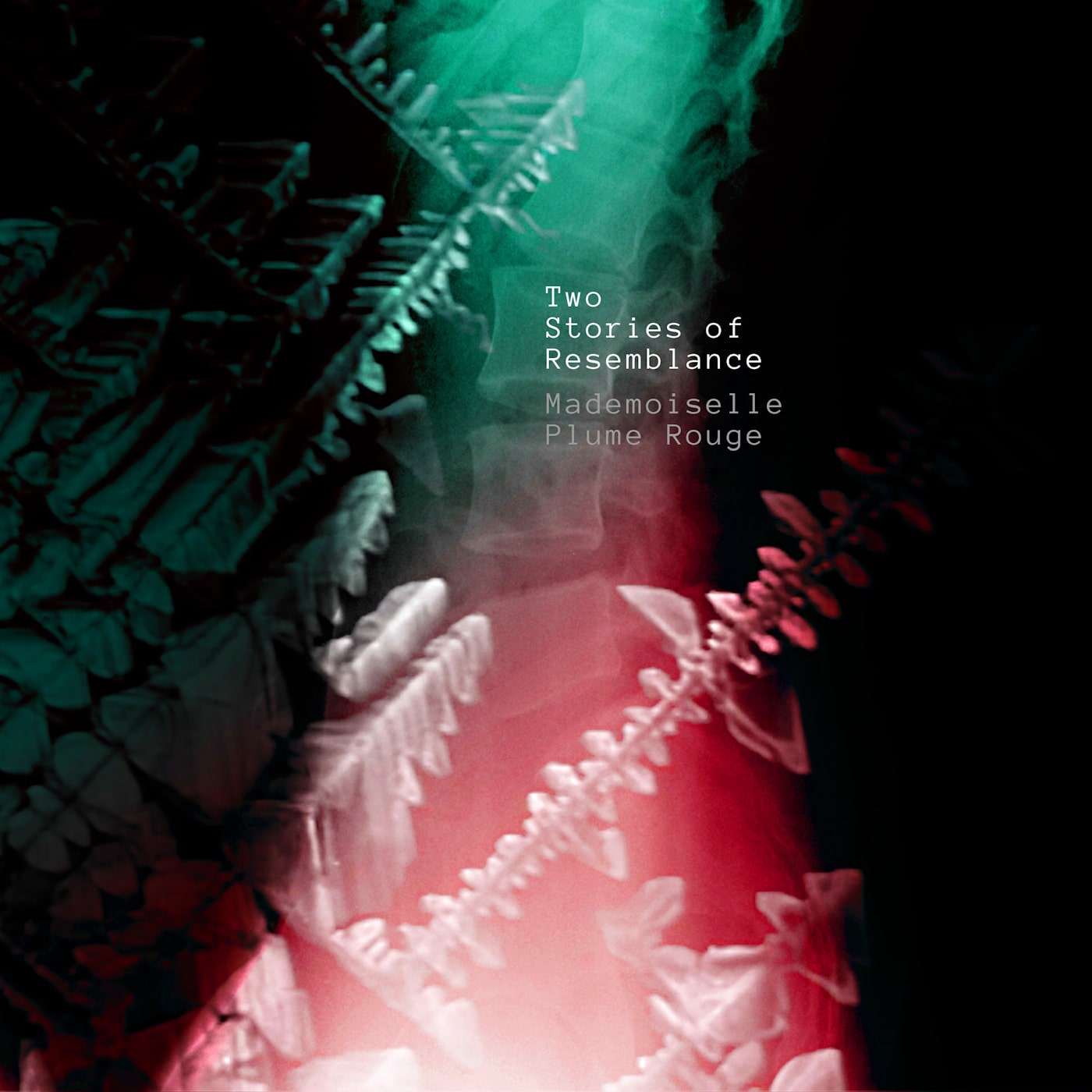 MADEMOISELLE PLUME ROUGE examine Zen metaphysics, Stein’s Cubist language, and Mol’s crystallization films on the diptych “Two Stories of Resemblance” 1 Mademoiselle Plume Rouge