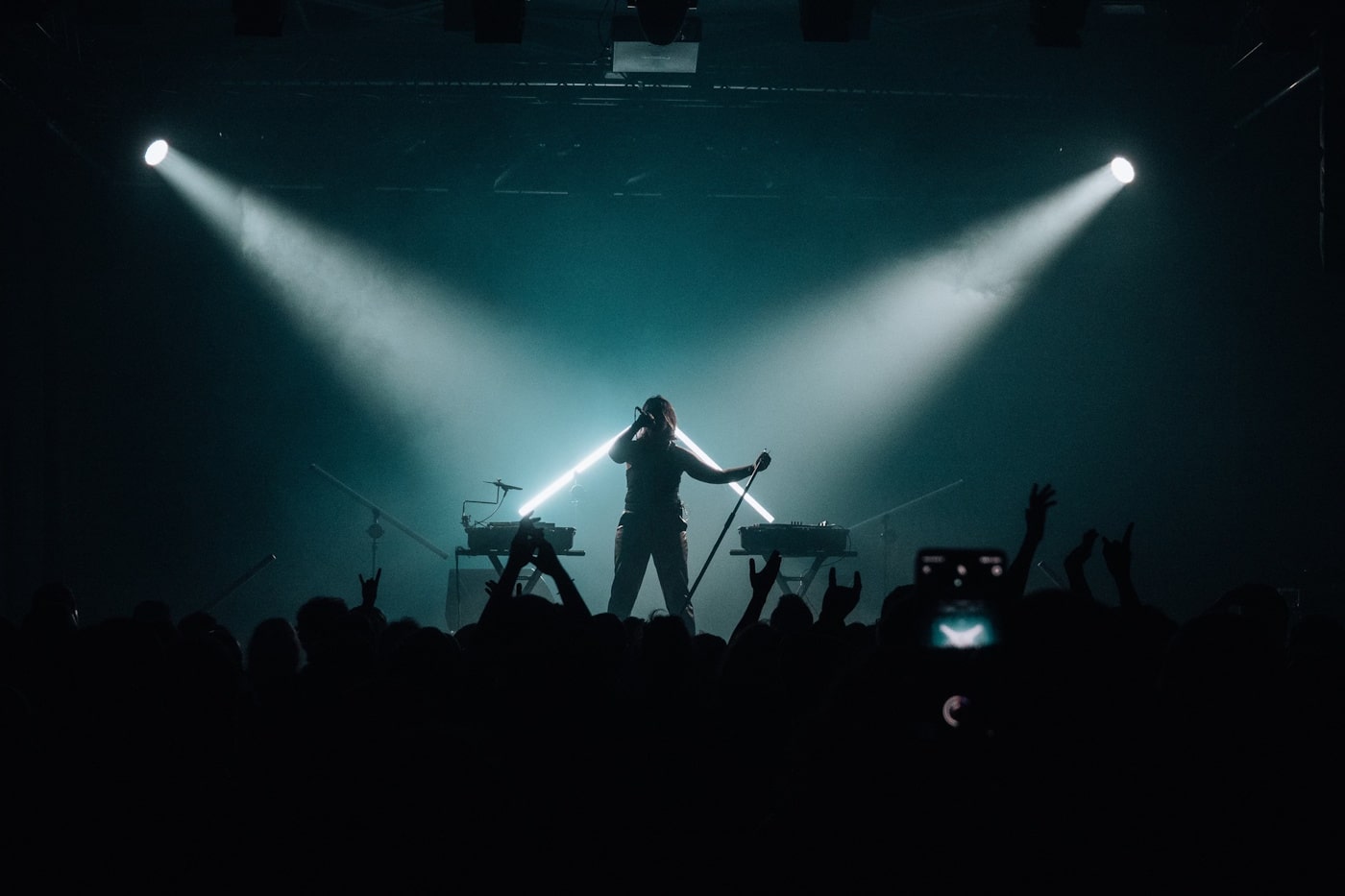 SIERRA VEINS, by Damien Charles