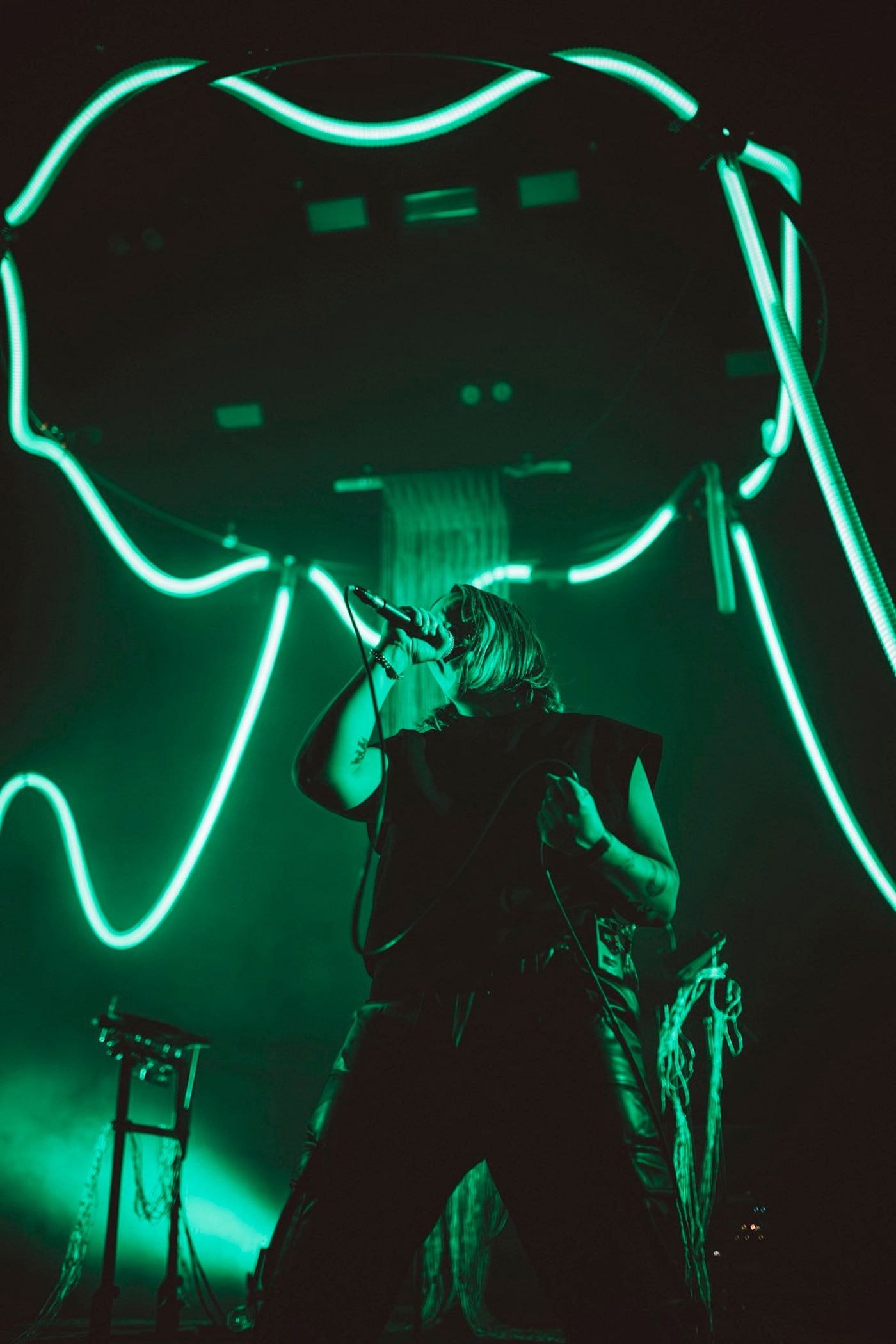 SIERRA VEINS, by Lucie Malfait