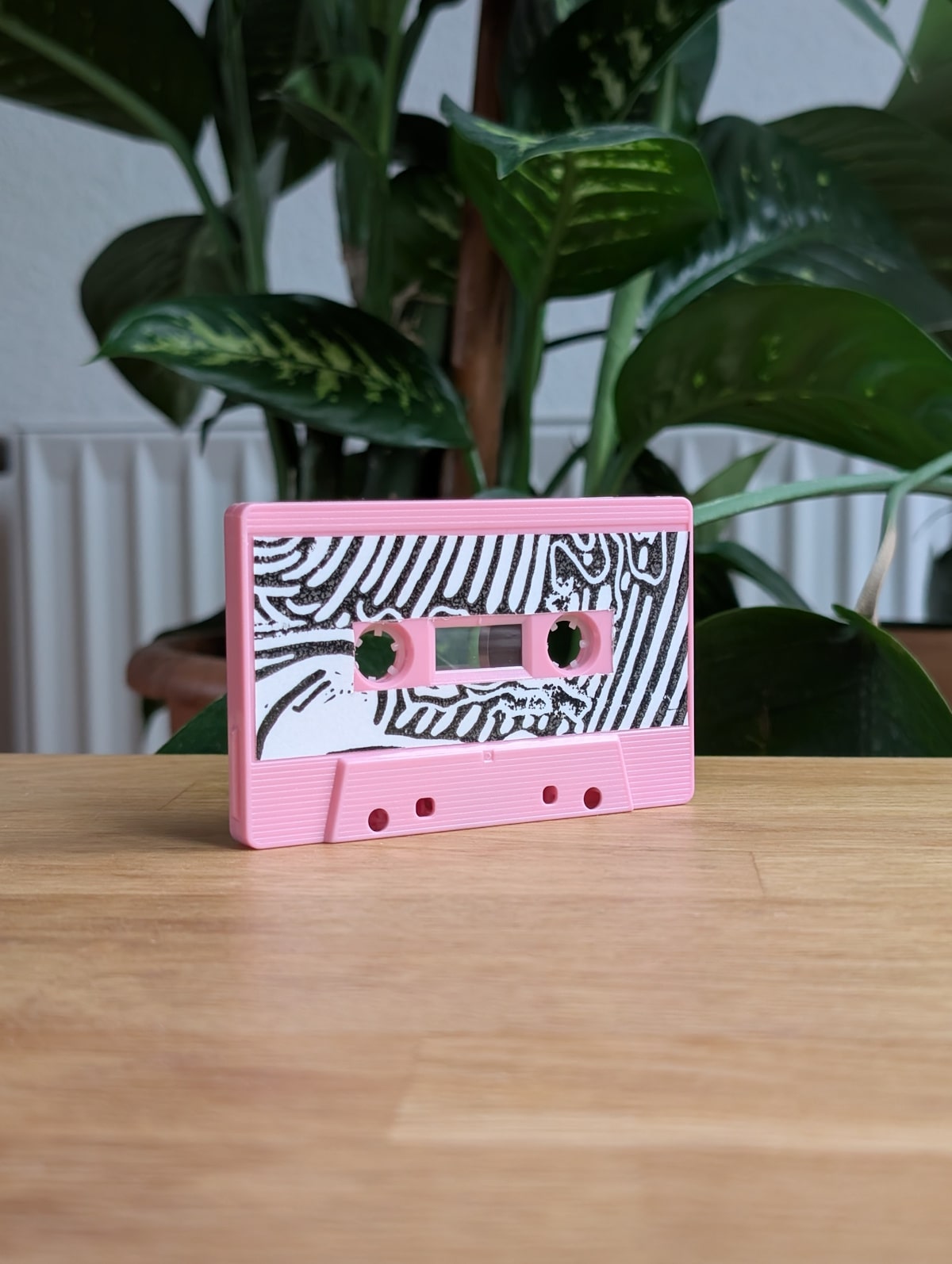 MOTTE turn drifting years into quiet, imperfect indie rock 1 motte