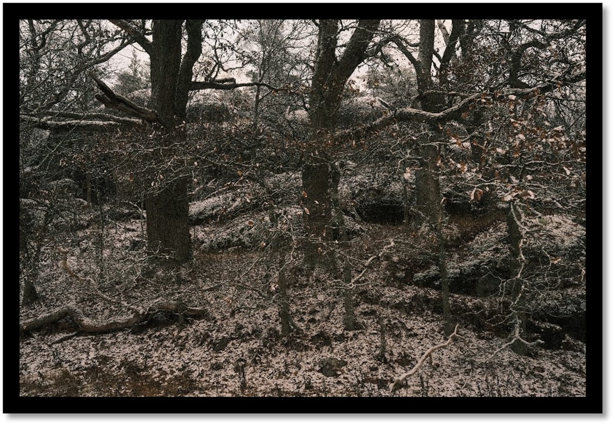 Raw black metallers BIRCHING crawl out of Turku's winter with a bleak demo 3 Birching