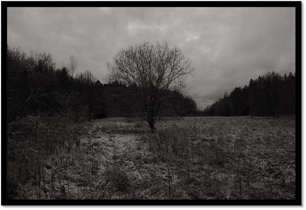 Raw black metallers BIRCHING crawl out of Turku's winter with a bleak demo 2 Birching