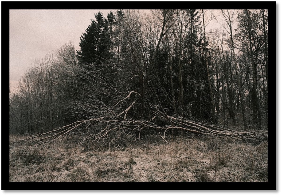 Raw black metallers BIRCHING crawl out of Turku's winter with a bleak demo 1 Birching