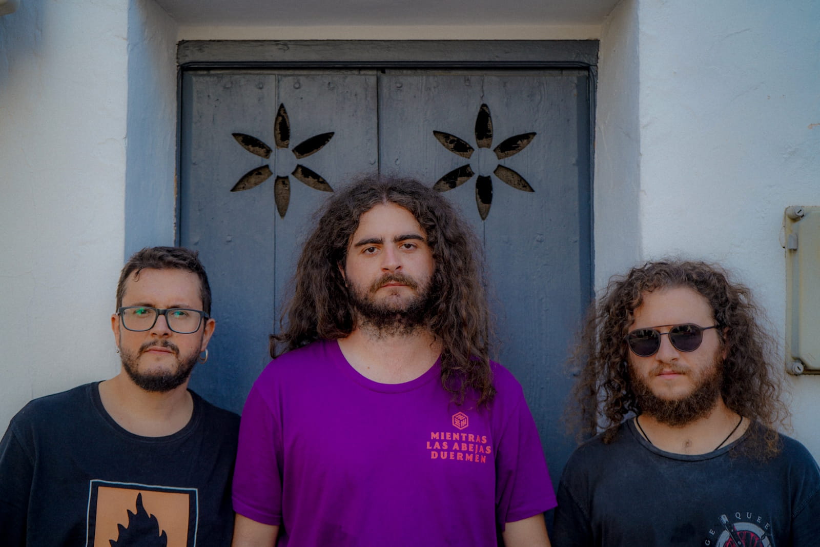 Mientras las abejas duermen