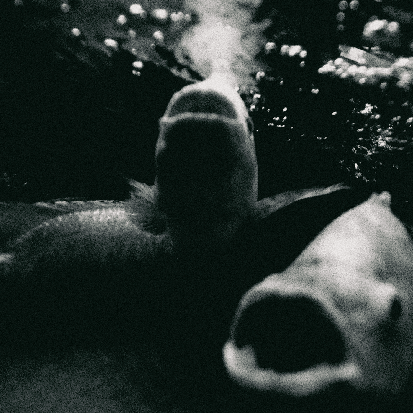 Shoegazin' alt rockers AIRLINE push through fear and static on new EP “Koi” 1 EP