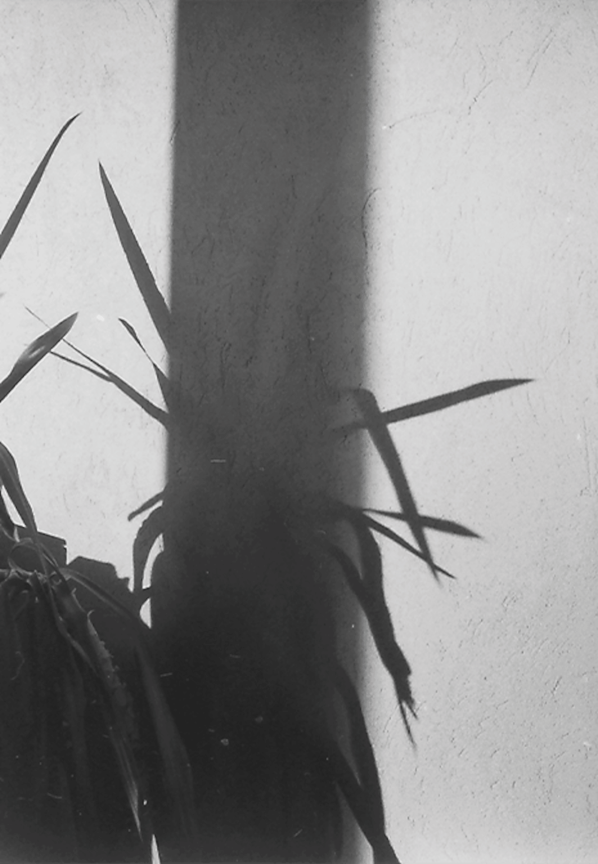 Dark post hardcore band VOLTA return after eight years with "Nessun Luogo né Acqua," a restless Italian story about screens, grief, and boredom 5 Volta