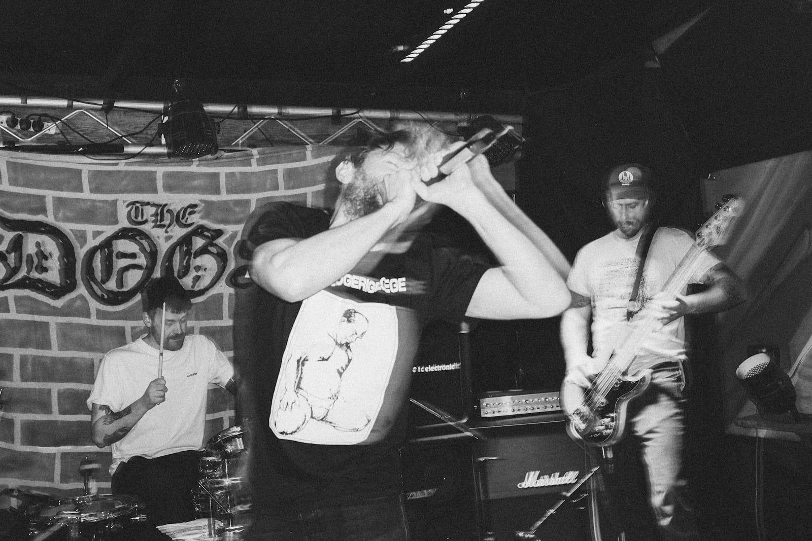 Mass Hallucination by Mark Buchanan