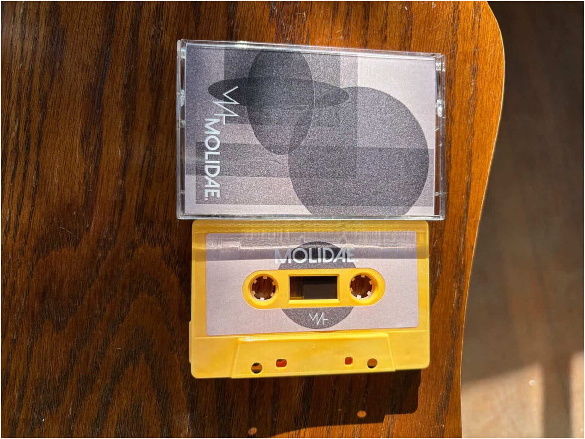 Hamburg blackened screamo act мир talk grief, antifascism, and impressive debut "molidae." 1 MIR - Ten Plagues Tapes'