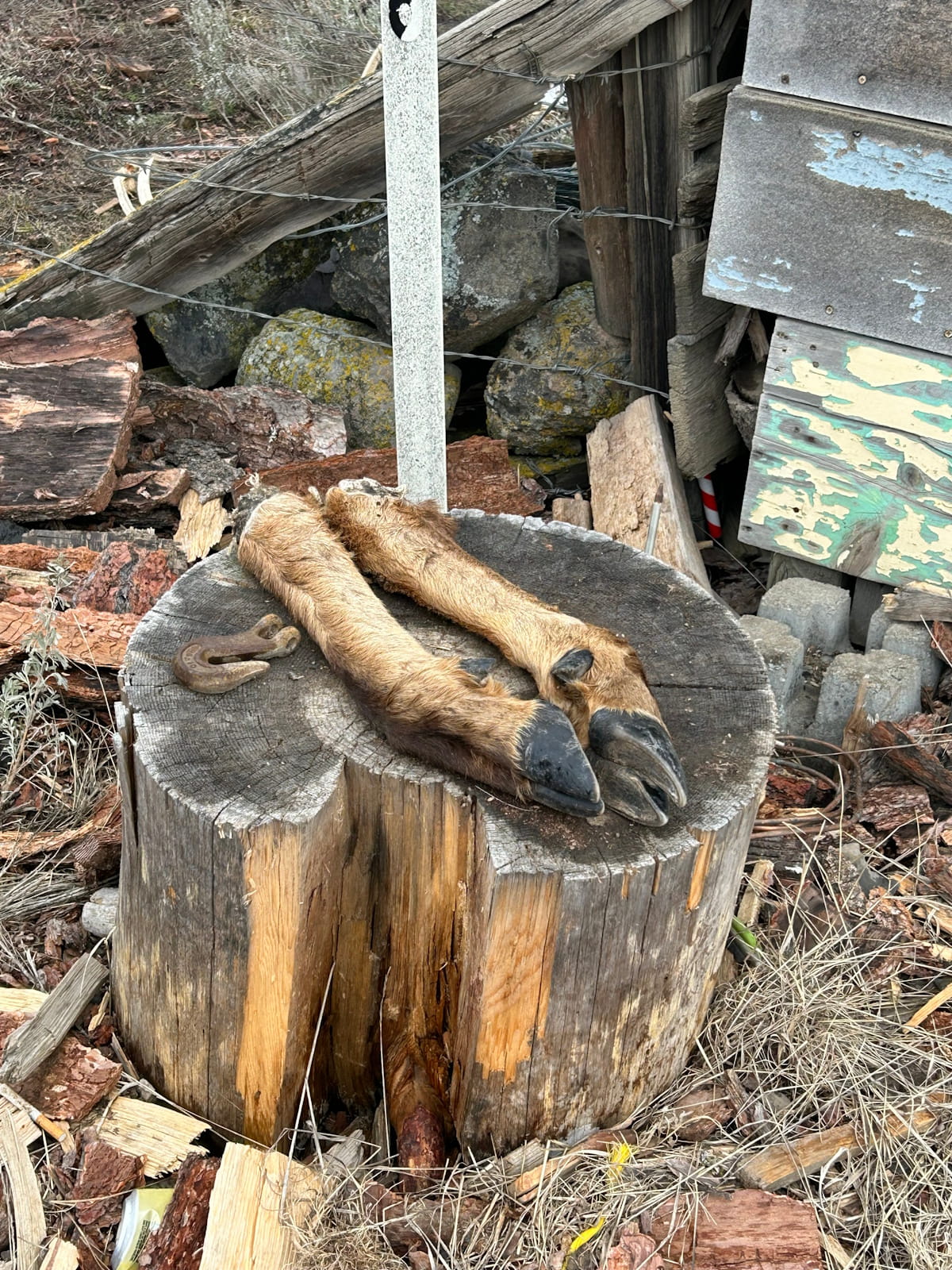 FINAL GASP map 26 days of tour life behind “New Day Symptoms,” ghost towns, bad gigs and all 10 Day 9