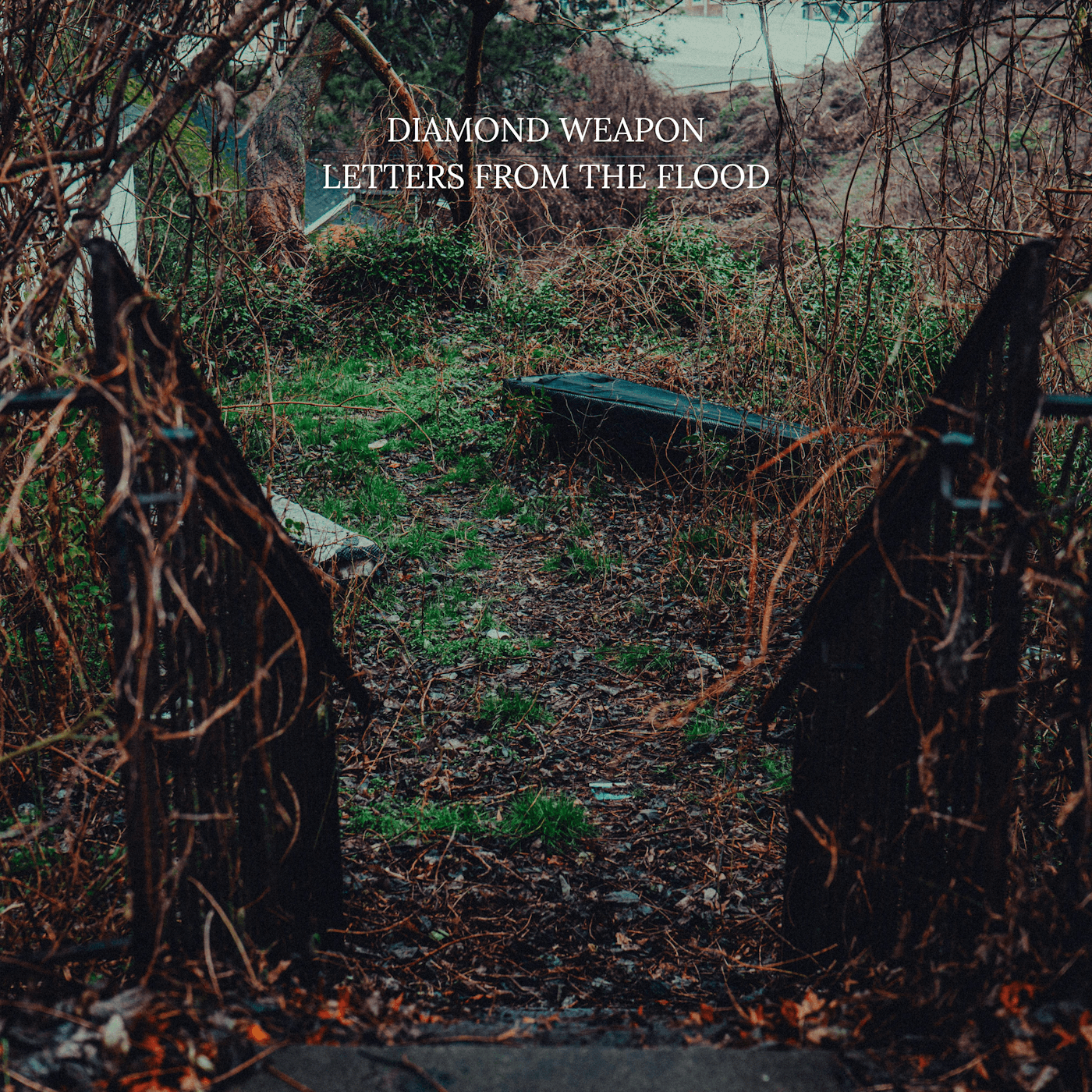 Toronto emo post hardcore band DIAMOND WEAPON return with "Letters from the Flood," an adventurous EP shaped by a year of funerals 3 Diamon Weapon / City Set on a Hill Records