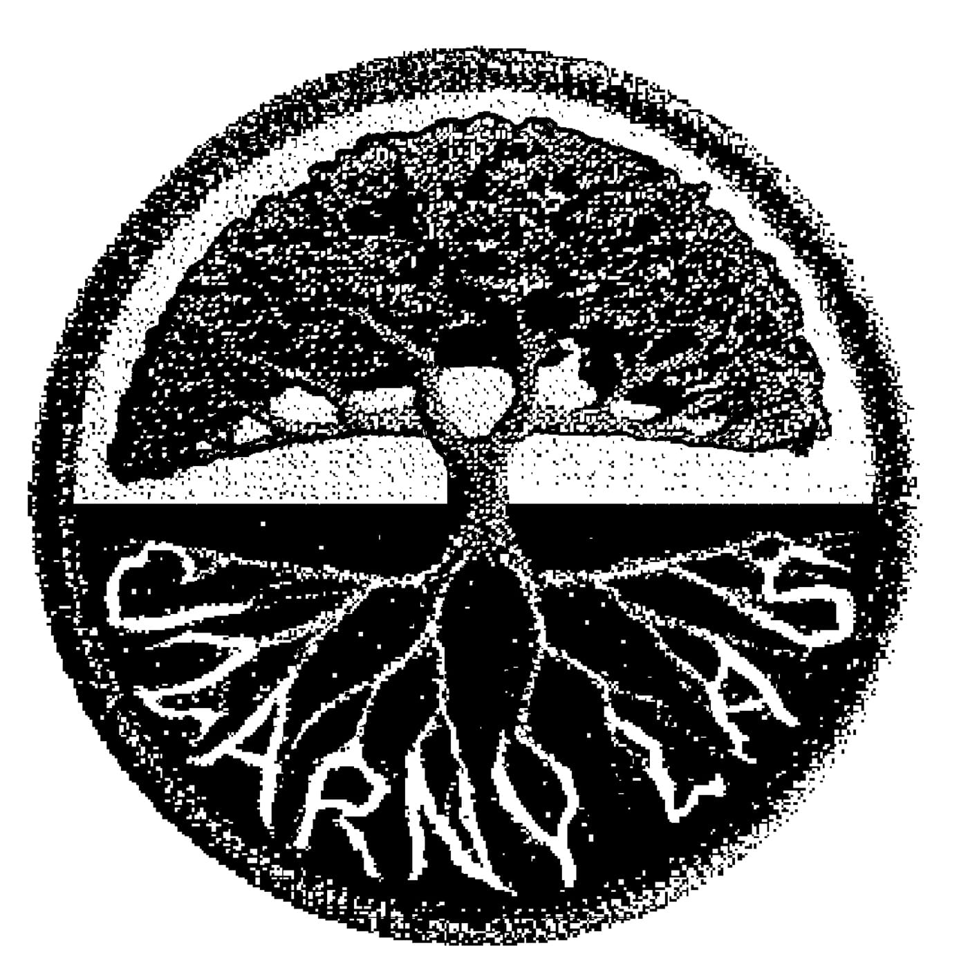 CZARNY LAS (BLACK FOREST) returns after a decade with "Jak się masz?", a debut built from spoken word, bleak rap, downtempo, and Polish alternative ghosts 1 czarny-las