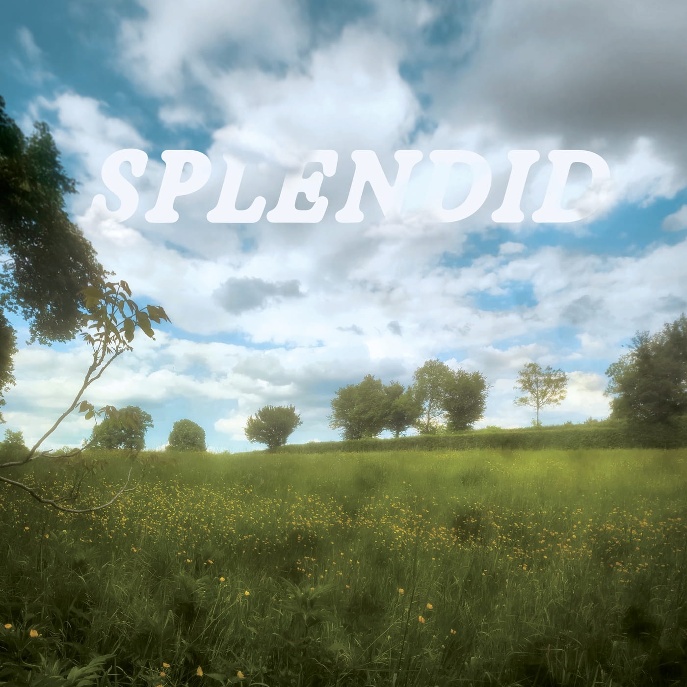HOMEGROUND leave hardcore behind, walk through "Splendid", a record about grief, plagiarised love and small-town life 1 Homeground
