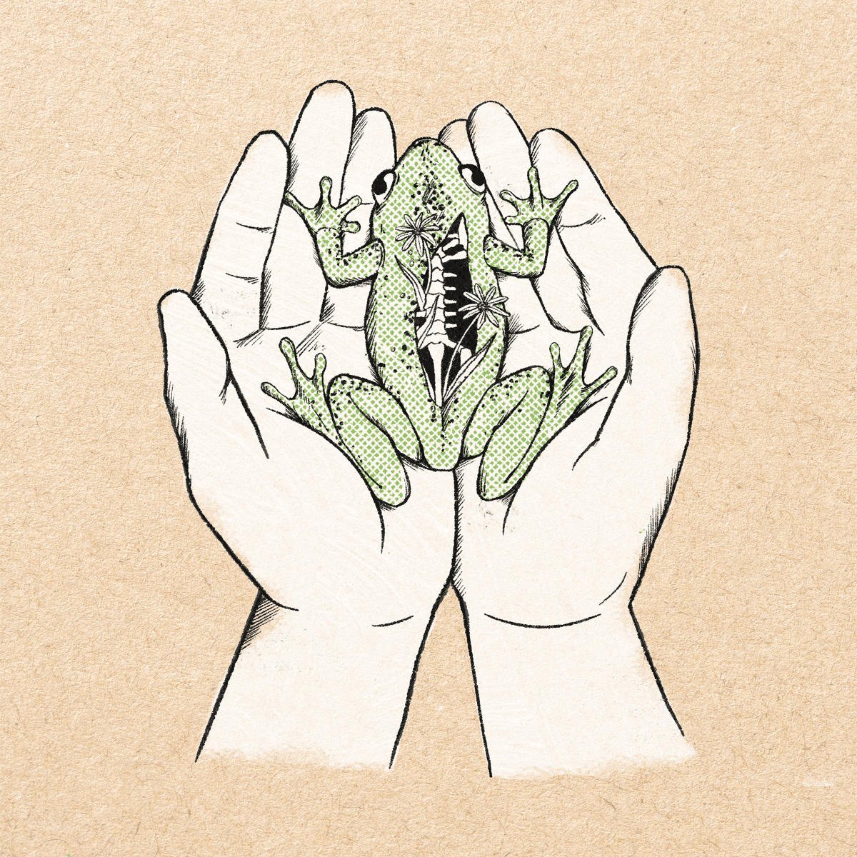 junejunejuly's "a false warmth"": East Westphalia DIY, 5th wave emo and five DIY labels across four continents 1 junejunejuly