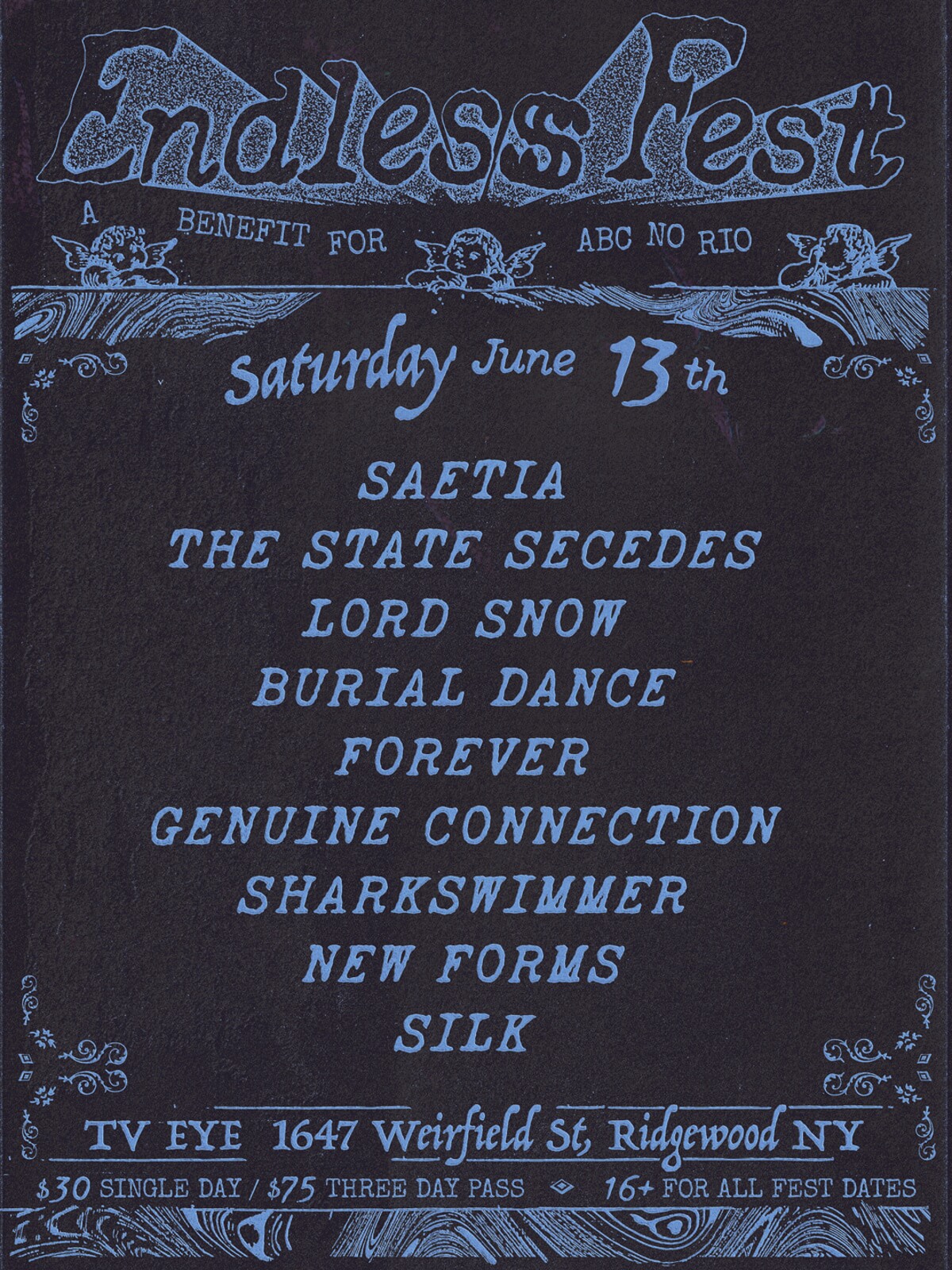 Endless Fest gathers 26 bands across three generations of NYC hardcore to benefit ABC No Rio 5 Endless Fest