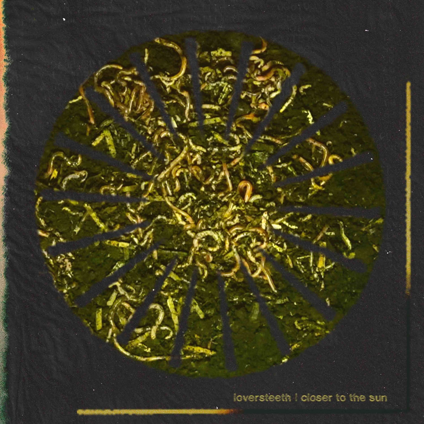 LOVERSTEETH come in swinging on "Closer to the Sun", "Floral Violence" coming up! 2 Art by Charles Capretta