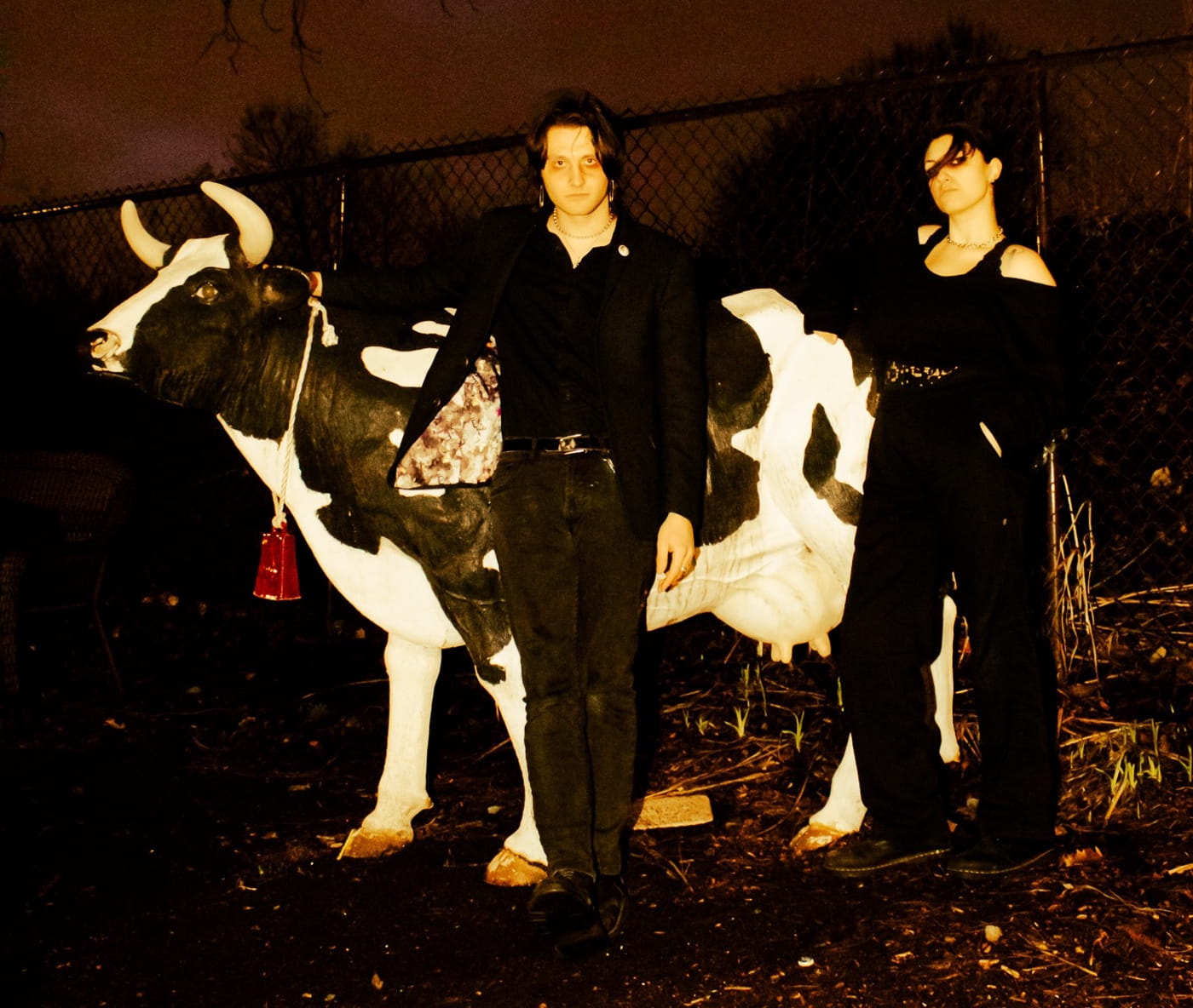 Chicago noise punks KING SANS premiere debut LP "Sell the Cow" on Dipterid Records 2 King Sans โ Sell the Cow
