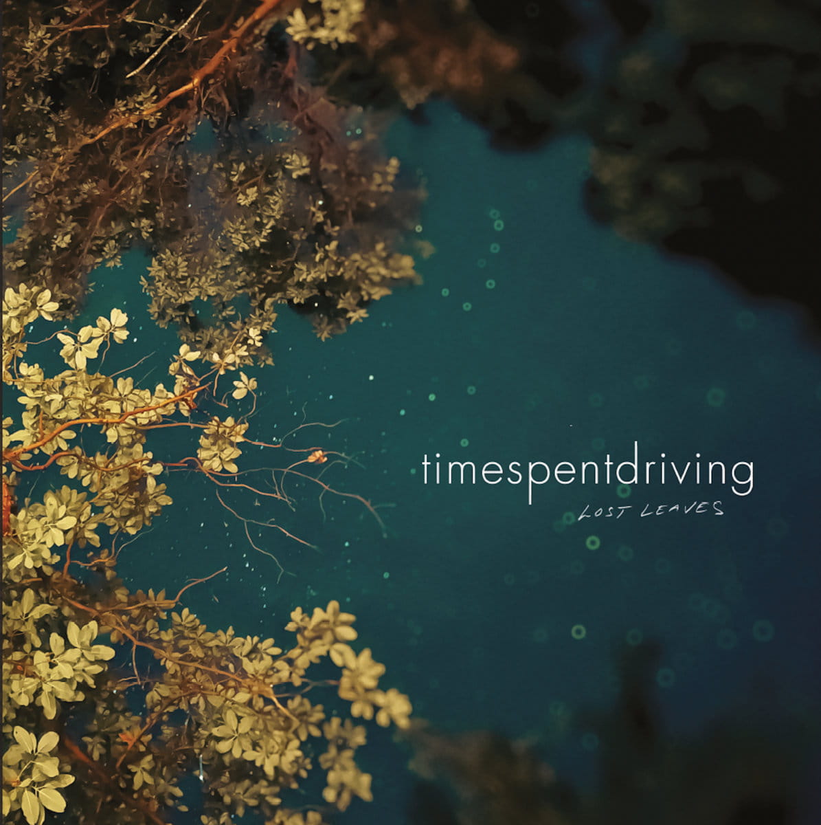 TIME SPENT DRIVING rebuilt old songs, opened the door to old friends and found "Lost Leaves" (album premiere) 1 Lost Leaves