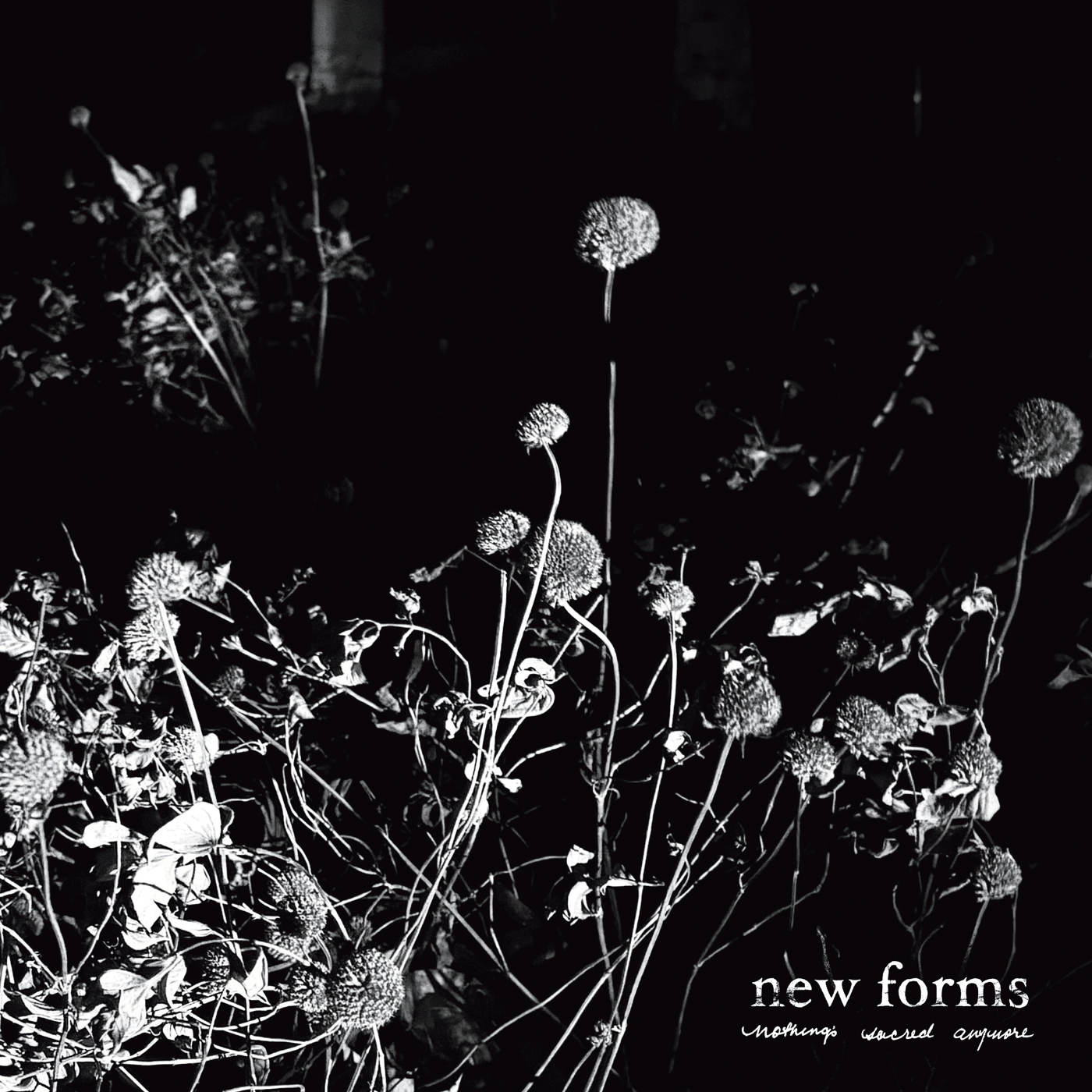 Boston emoviolence band NEW FORMS make grief move fast on mind-bending new EP "Nothing's Sacred Anymore" 2 NEW FORMS