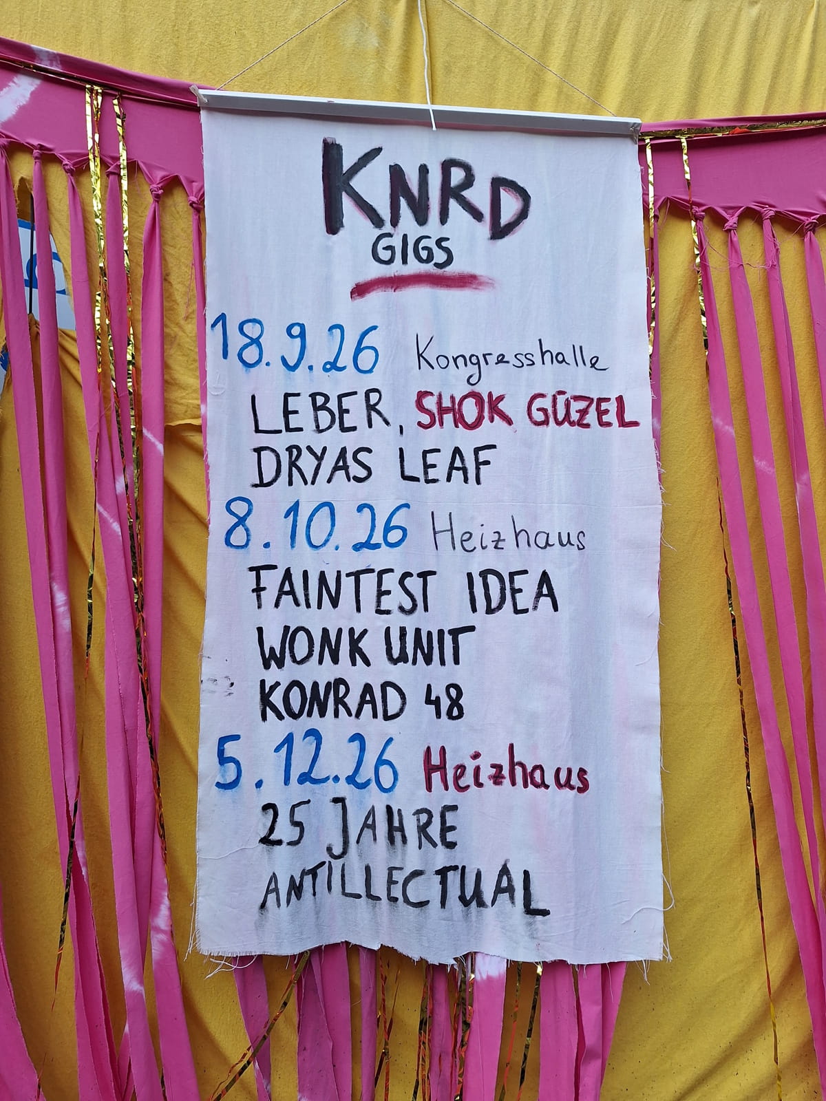 ANTILLECTUAL look back on 25 years of touring, politics and DIY work 8 Next Bavarian show promo
