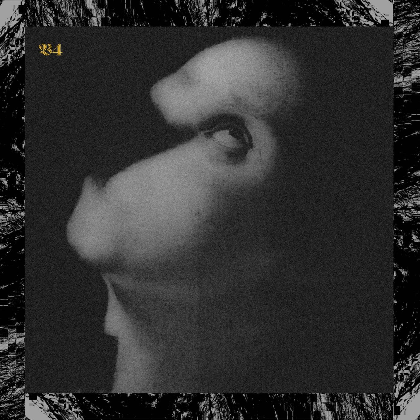 Italian psych post metallers VISCERA/// trace cults, collapse and self-protection across "4. Assets for Psychedelic Warfare" 1 VISCERA///