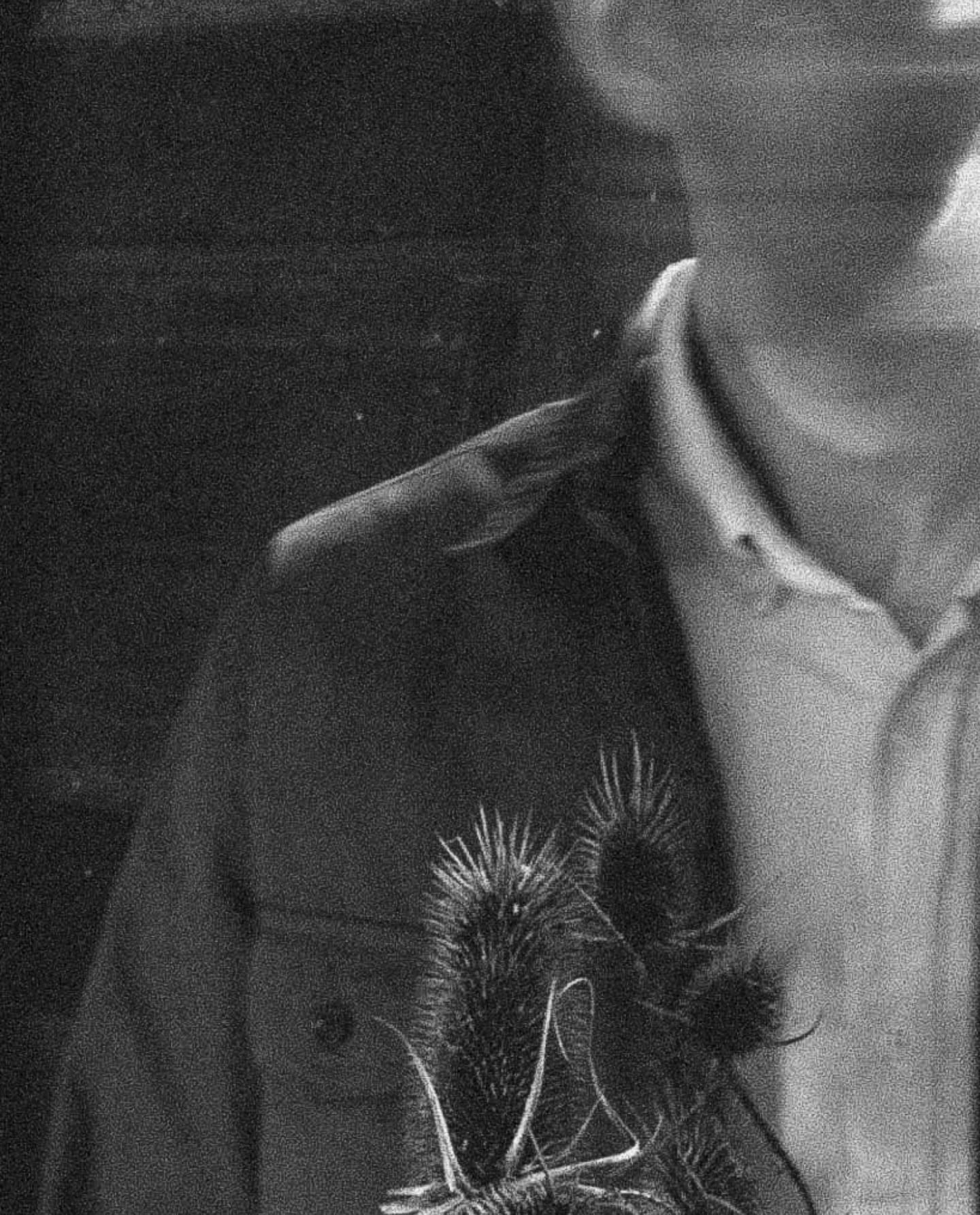 Ohio L'eveil put progressive rock and metal through one acoustic guitar on "Wars of Abstraction" 5 L'eveil "Wars of Abstraction"