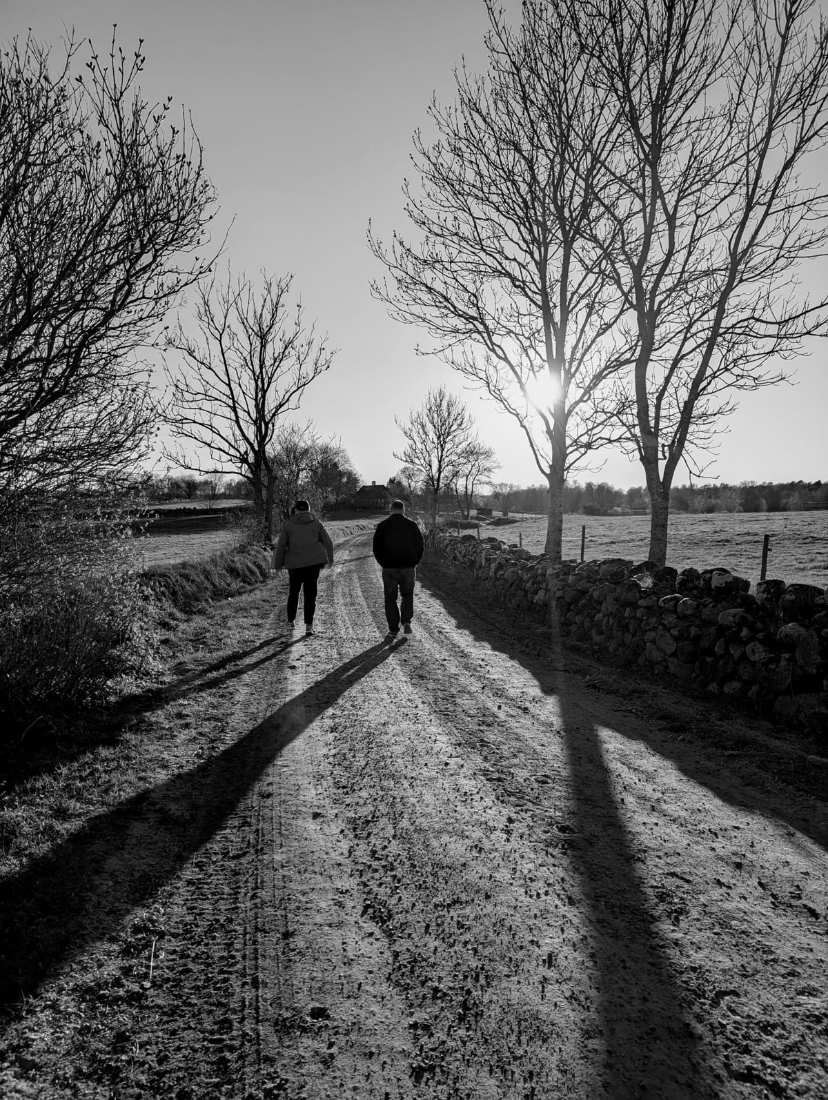 MENDERBUG return with "Where the Silence Grew" are nearing 70 songs and learning which parts of DIY are worth their time 1 menderbug