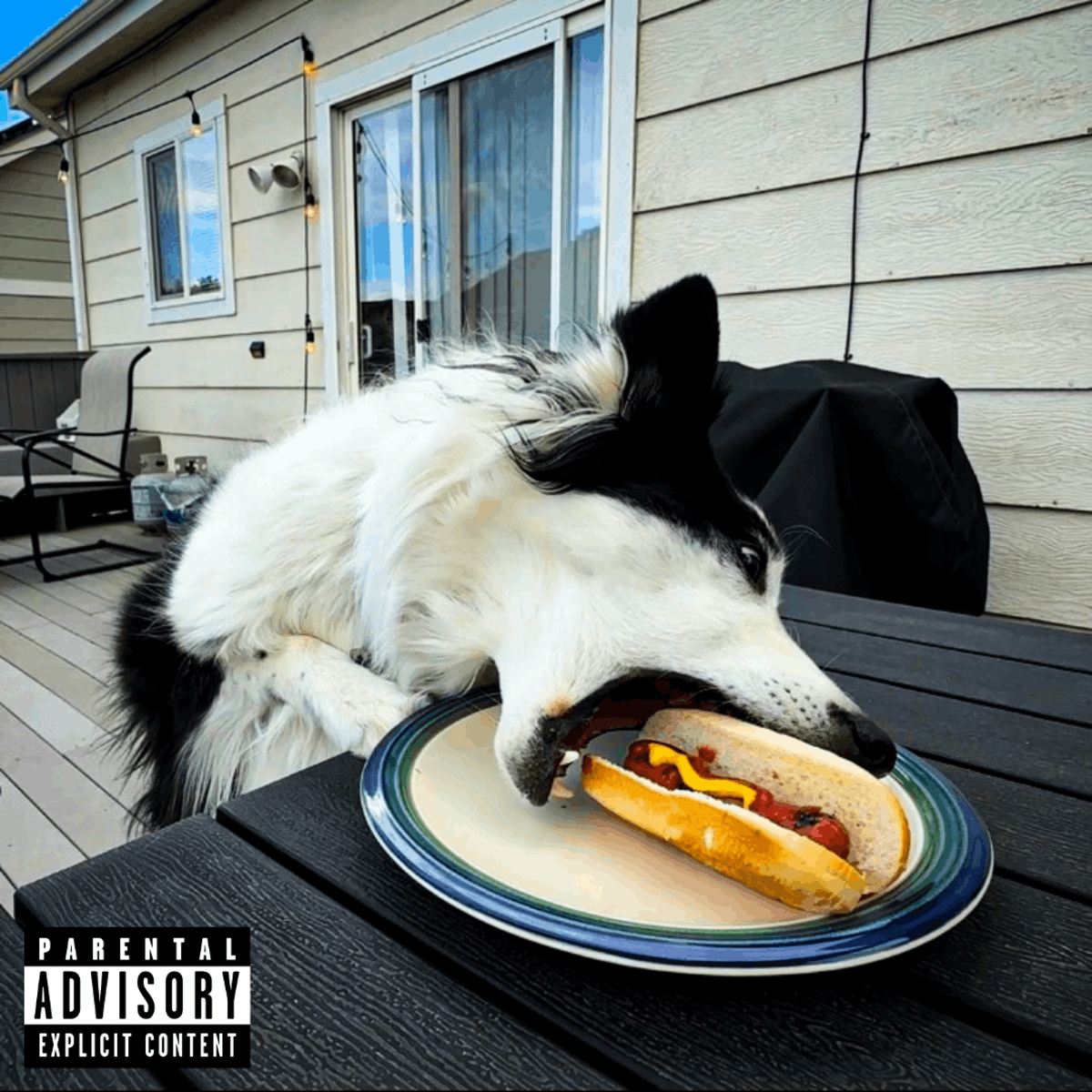 Rocky Mountain emo, panic attacks, Kyoto trains and a dog named Calvin: SKIIMO on their self-titled LP 2 Skiimo