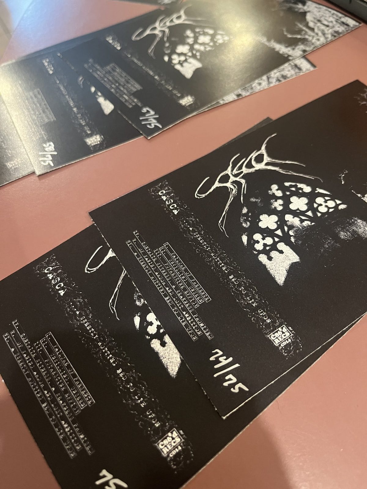 New Brunswick blackened screamo band CASCA bring years of DIY history and personal wreckage into their debut EP 11 Casca